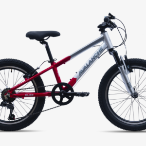 Avalanche Buzz 20" Boys Bike